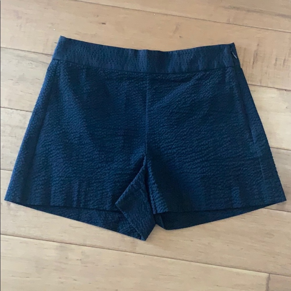 Black JCrew Gingham Shorts